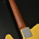 Bacchus TELECASTER TACTICS-ASH/RSM Global Series Bacchus Tele