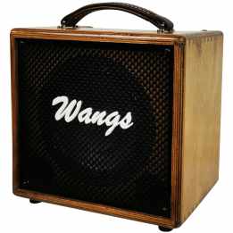 Wangs AC-60 - Electroacústica y Voz (Doble canal) WANGS Amplificadores