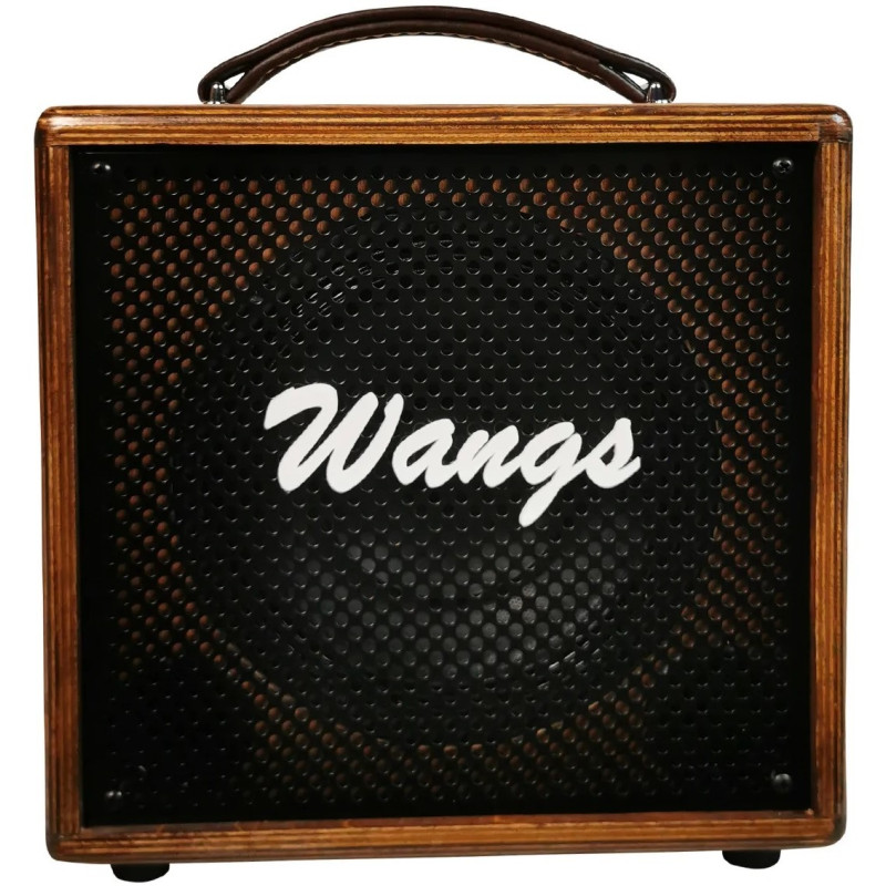 Wangs AC-60 - Electroacústica y Voz (Doble canal) WANGS Amplificadores