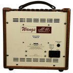 Wangs AC-60 - Electroacústica y Voz (Doble canal) WANGS Amplificadores
