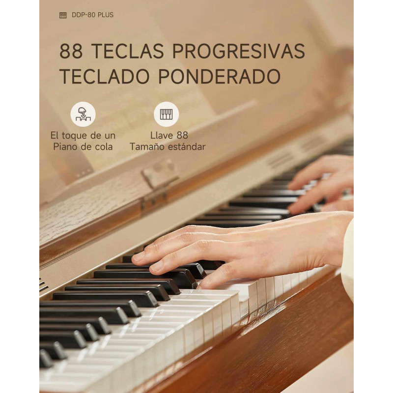 Donner DDP-80 PLUS Piano vertical digital de madera contrapesado de 88 teclas con tapa y 3 pedales DONNER Pianos y teclados