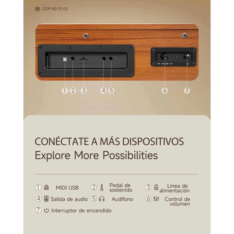 Donner DDP-80 PLUS Piano vertical digital de madera contrapesado de 88 teclas con tapa y 3 pedales DONNER Pianos y teclados