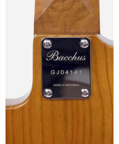 Bacchus WL5-ASH33 AC WRS/M ~ NA Bacchus De 5 cuerdas