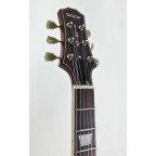 SQOE LES PAUL SELP900 BLS CUSTOM SERIES