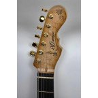 Guitarra Momose Telecaster MT Autumn Leaves '18 | Lama