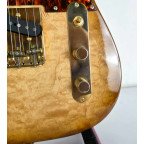 Guitarra Momose Telecaster MT Autumn Leaves '18 | Lama