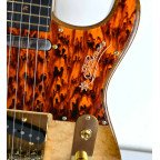 Guitarra Momose Telecaster MT Autumn Leaves '18 | Lama
