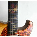 Guitarra Momose Telecaster MT Autumn Leaves '18 | Lama