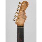 Guitarra Momose Telecaster MT Autumn Leaves '18 | Lama
