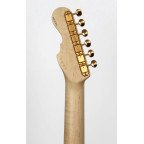 Guitarra Momose Telecaster MT Autumn Leaves '18 | Lama