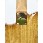 Guitarra Momose Telecaster MT Autumn Leaves '18 | Lama