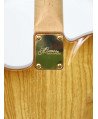 Momose Telecaster MT Autumn Leaves '18
